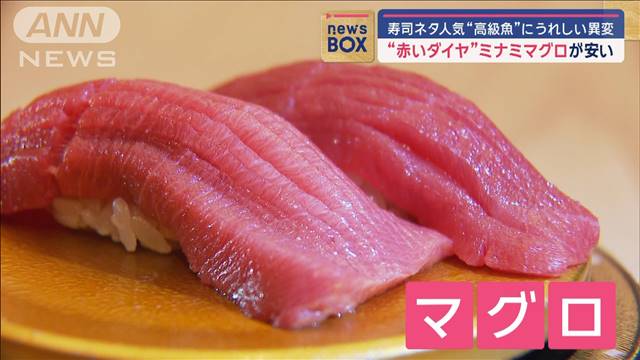 寿司ネタ人気“高級魚”にうれしい異変 “赤いダイヤ”ミナミマグロが安い